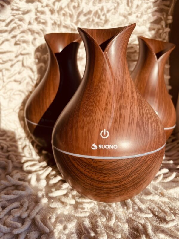 Humidificador de ambiente