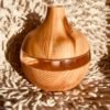 Humidificador de ambiente