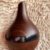 Humidificador de ambiente