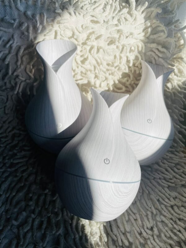 Humidificador de ambiente